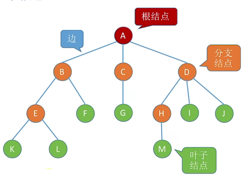 树的结构示意图