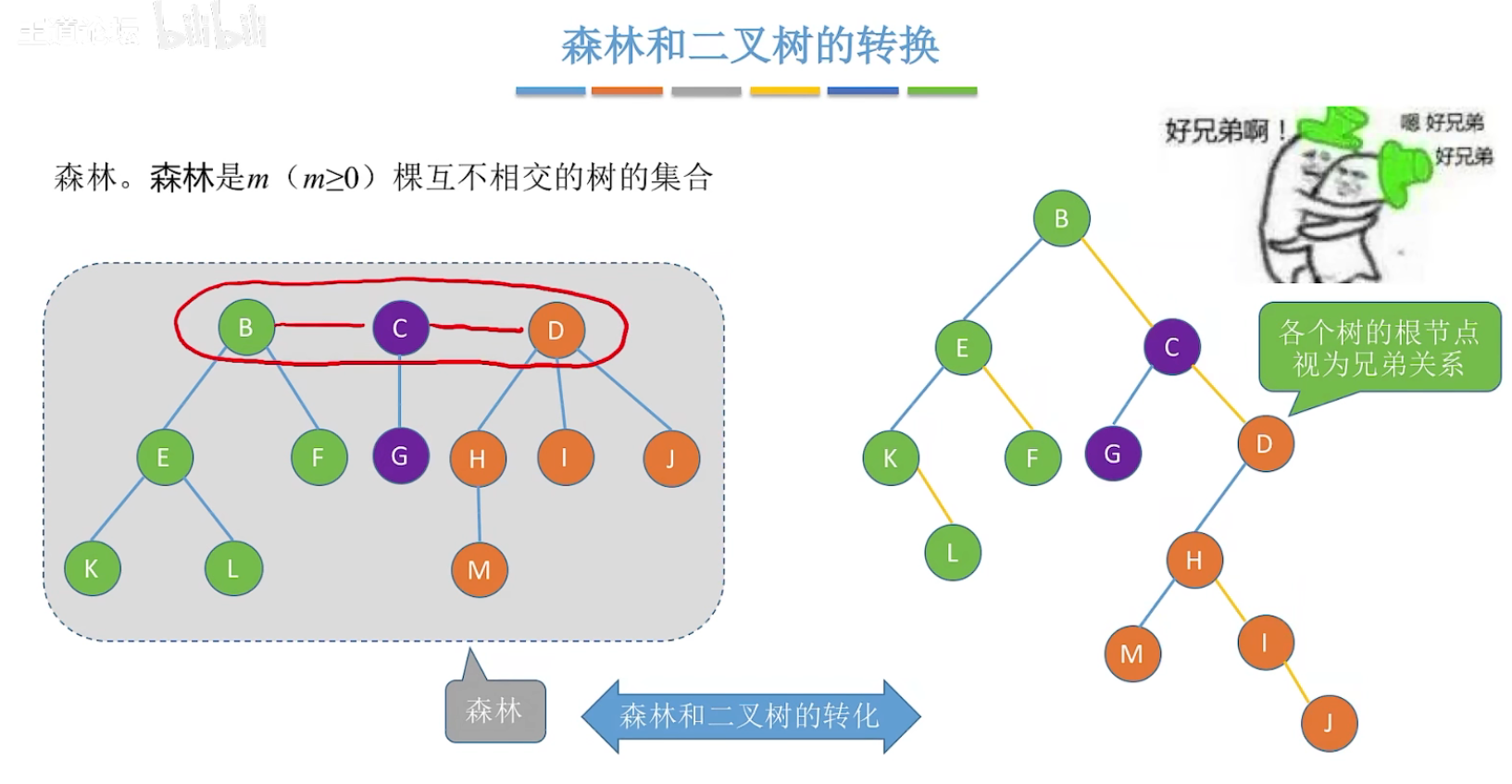 森林和二叉树转换