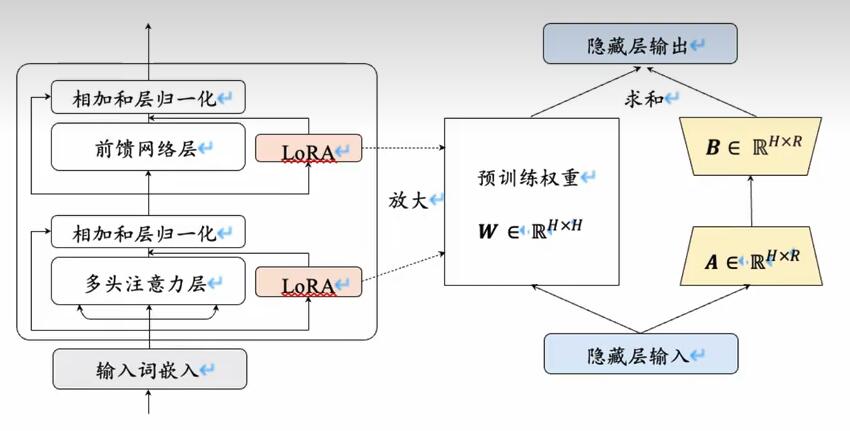 LoRA微调